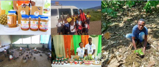 Haïti: soutenir les jeunes entrepreneurs, garants de l’économie durable